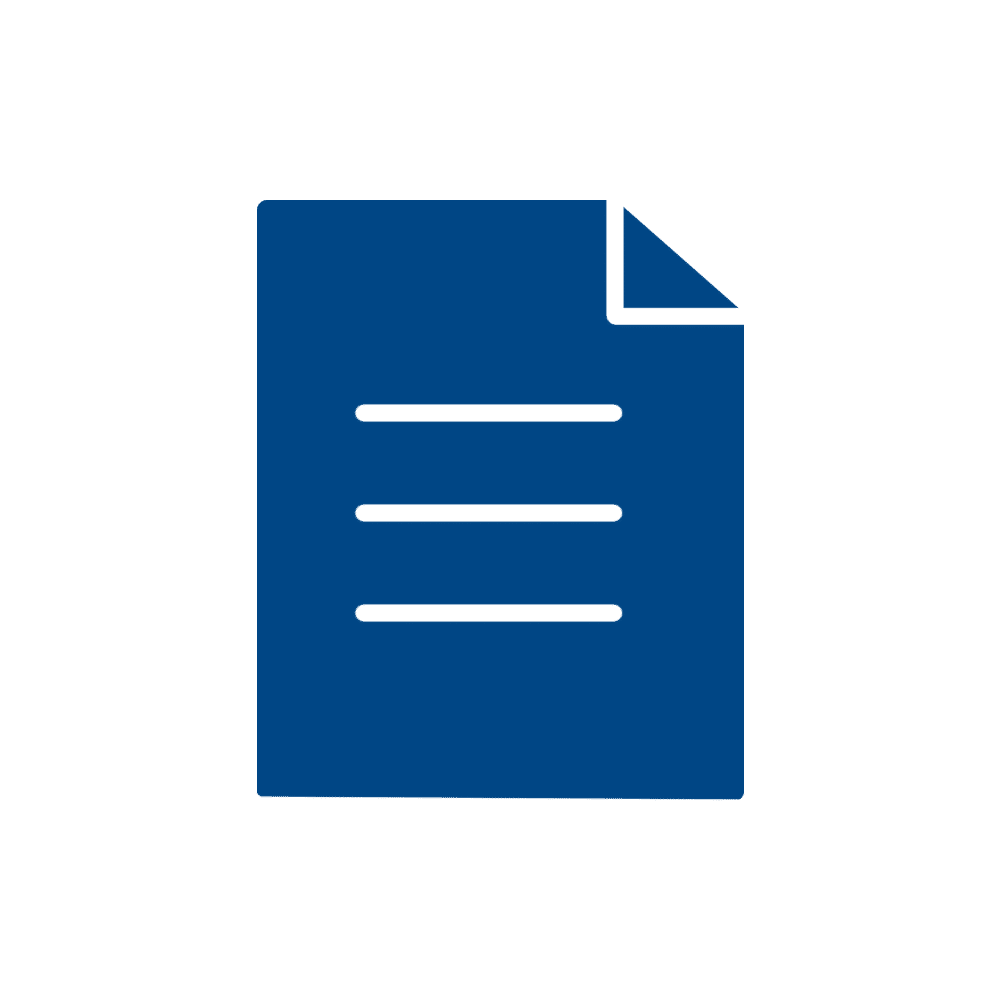 Curriculum vitae - CV
